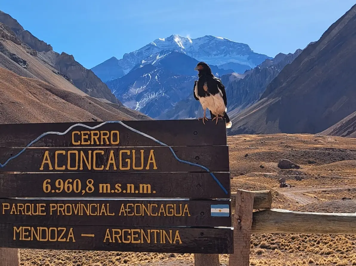 Experiencia Aconcagua